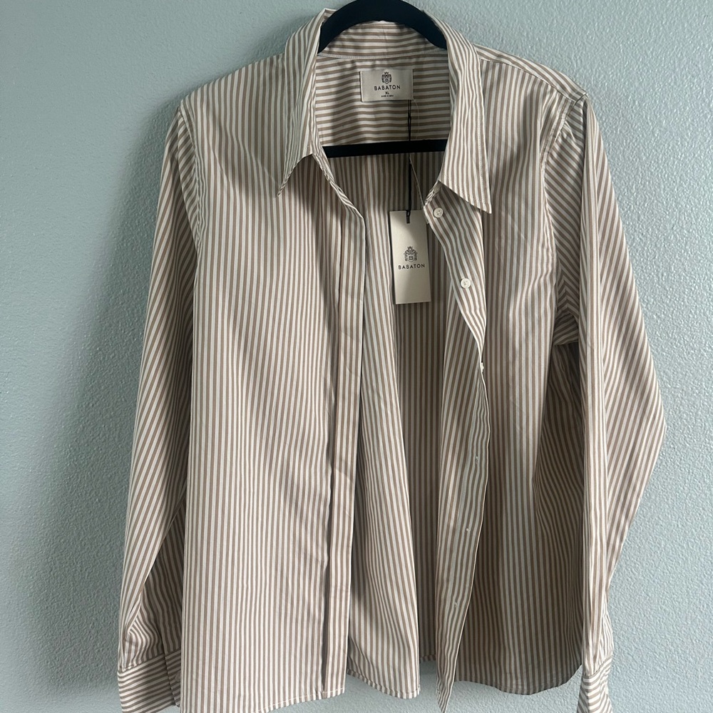 New Essential Aritzia Babaton Classic Poplin Shirt